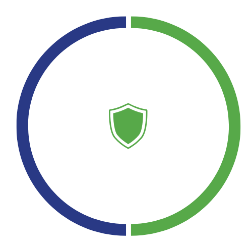 rv1 - badge - Over 30 Years in the Industry