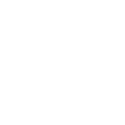 rv1 - icon - Access Control Systems