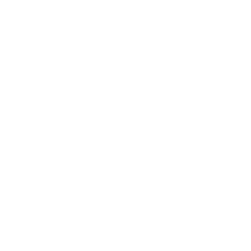 rv1 - icon - Intrusion Detection