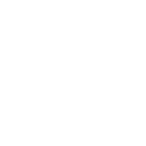 rv1 - icon - Networking & Storage Systems